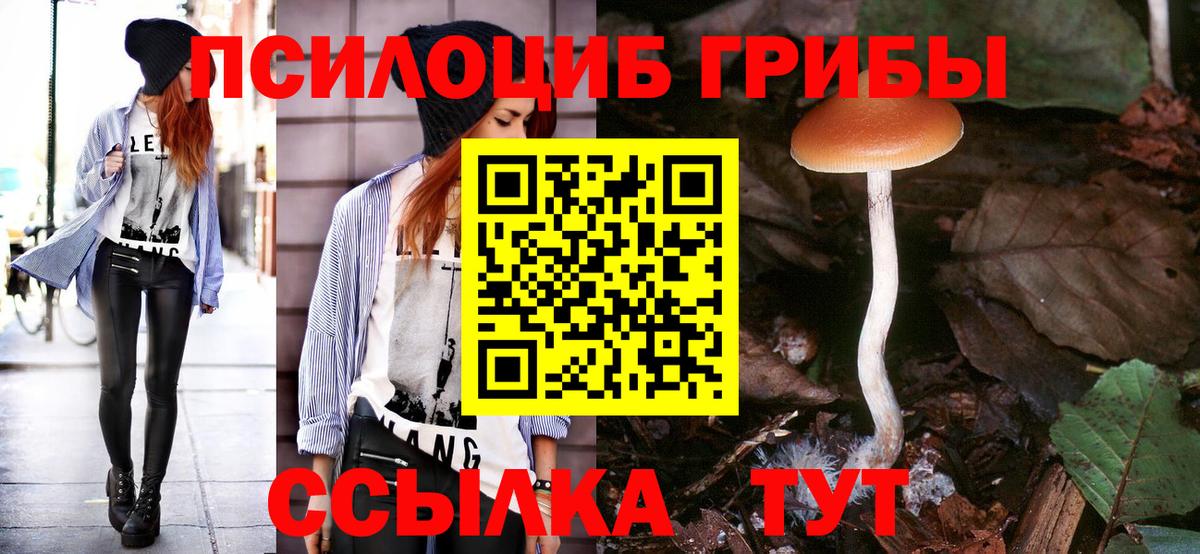 Псилоцибиновые грибы мицелий Гуково